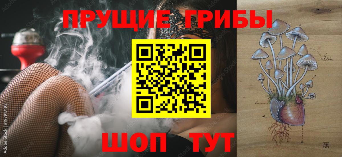 Псилоцибиновые грибы Cubensis  Вход с VPN  Шатура  Галлюциногенные грибы ЛСД 